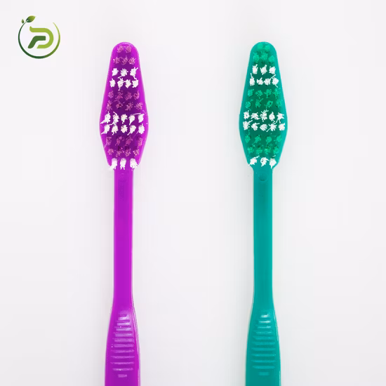 Brosse à dents dégradable biodégradable pour adultes, soins personnels, bon